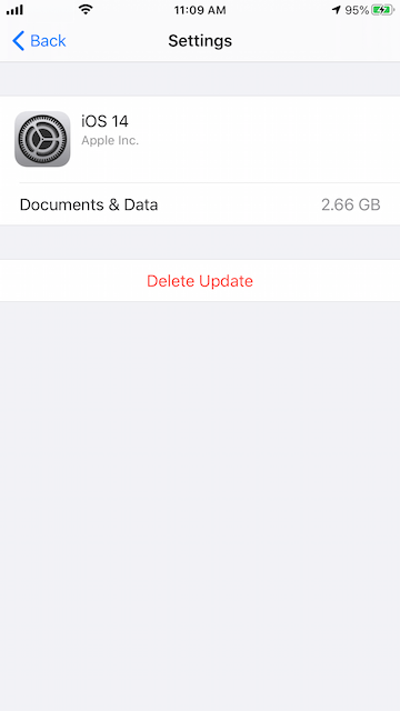 delete ios 14 update