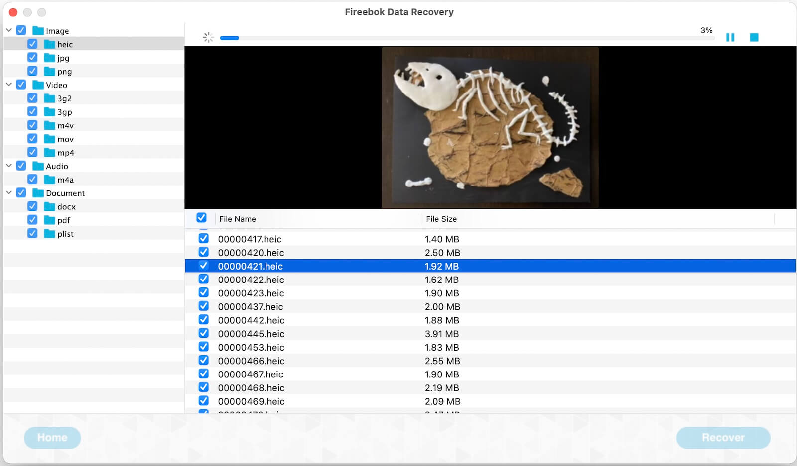 recover heic photo format