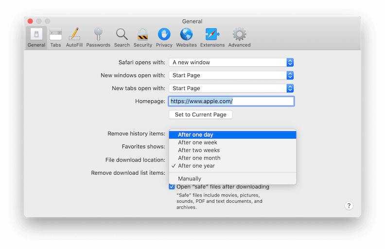 auto clear safari history