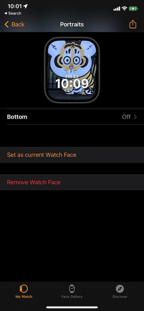 set apple watch face