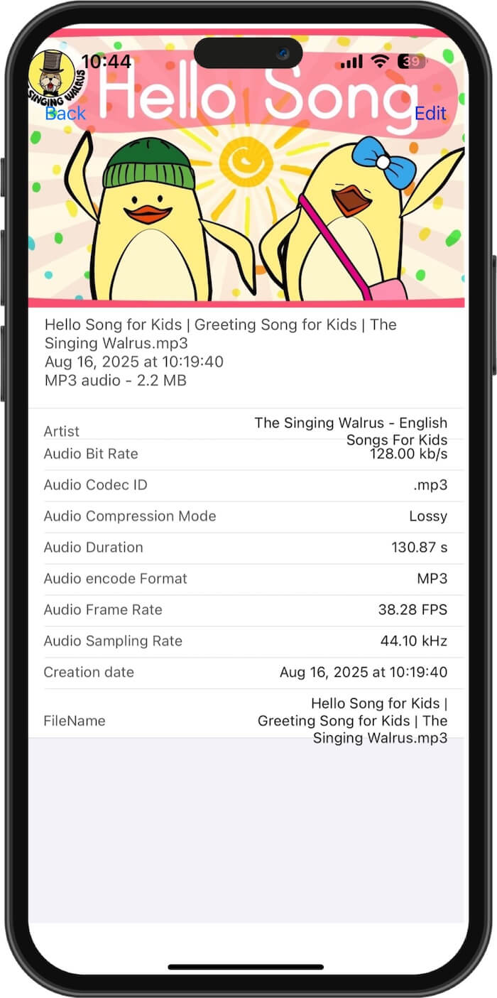 view audio metadata on iPhone