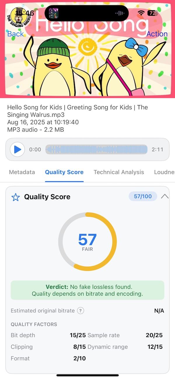 audio quality check with AudioInfo