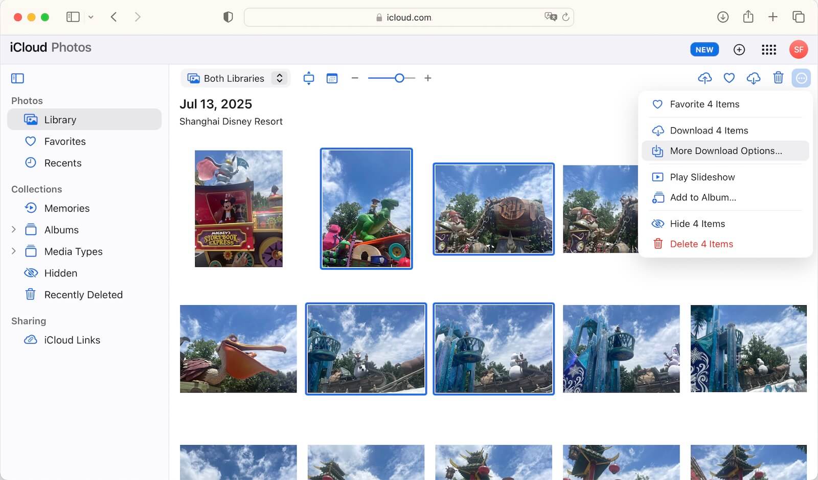 Download iCloud Photos