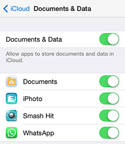 Enable WhatsApp in iOS 7