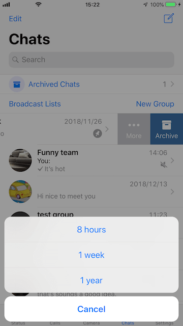 mute WhatsApp group message on iPhone